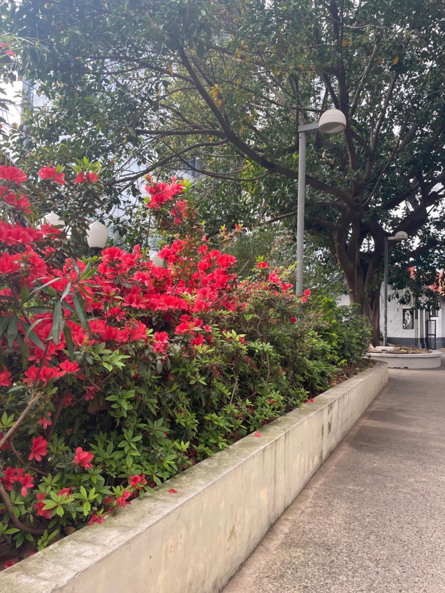 Hotel Vicente Lopez Luaran gambar