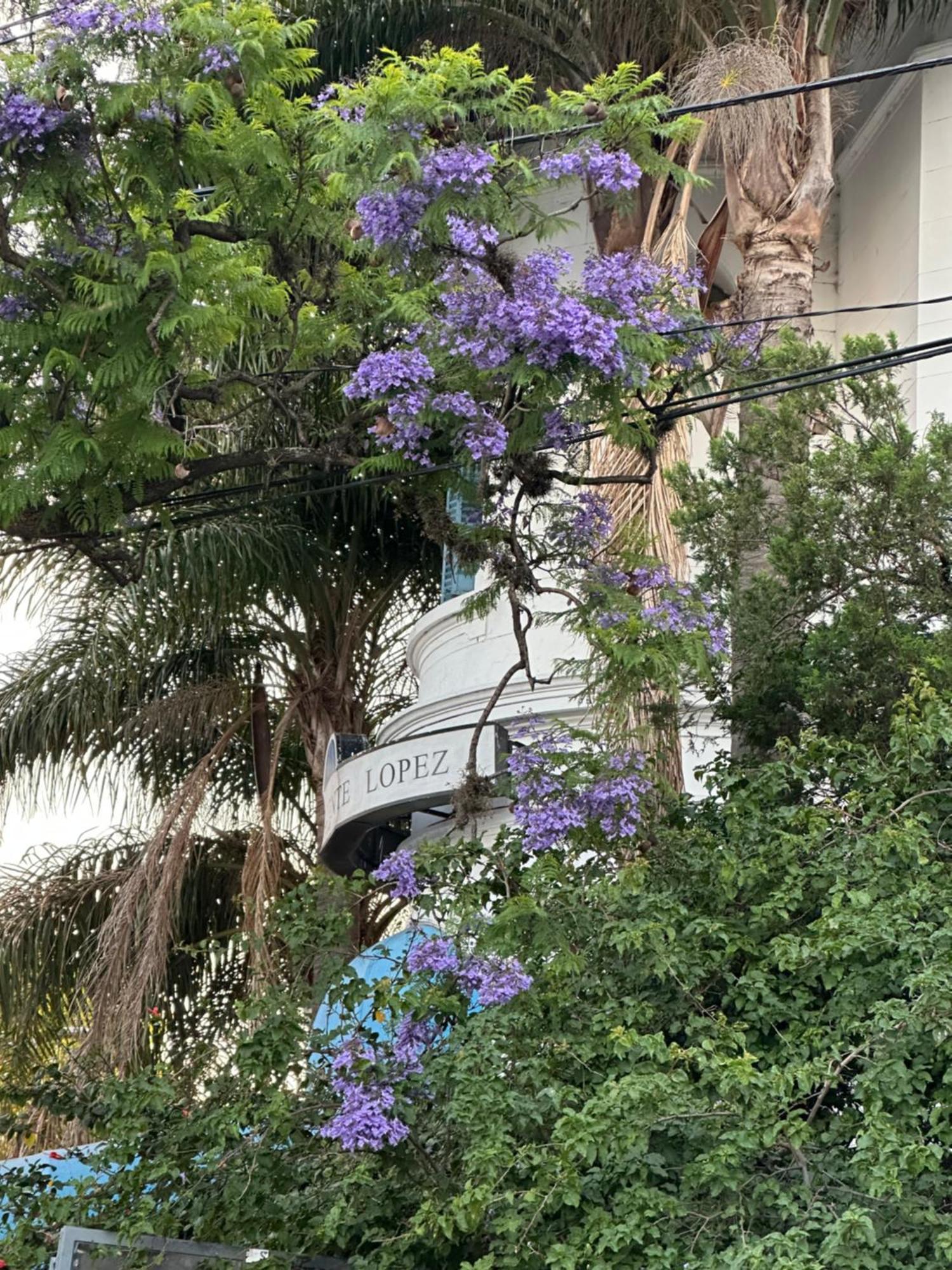 Hotel Vicente Lopez Luaran gambar