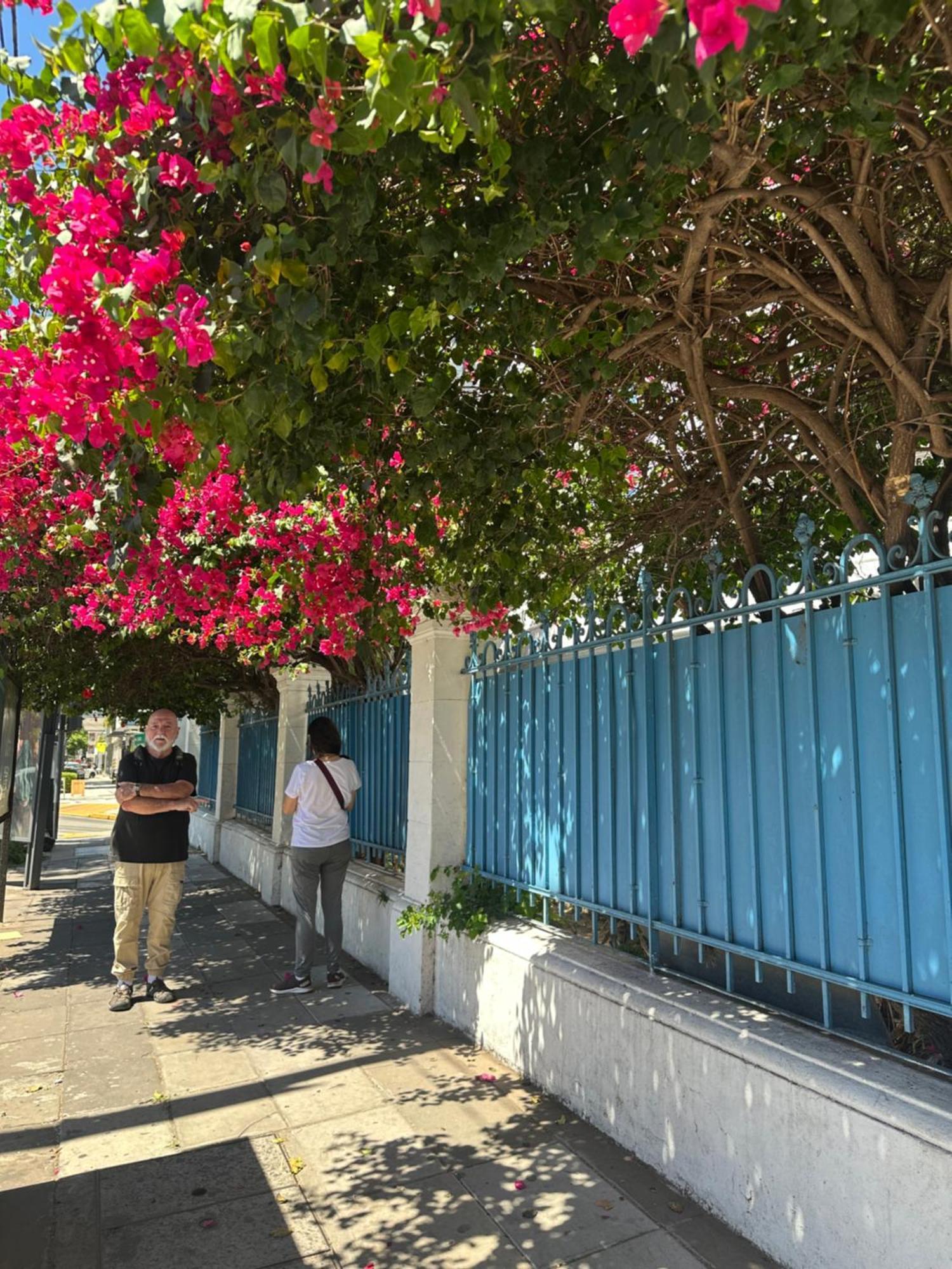 Hotel Vicente Lopez Luaran gambar
